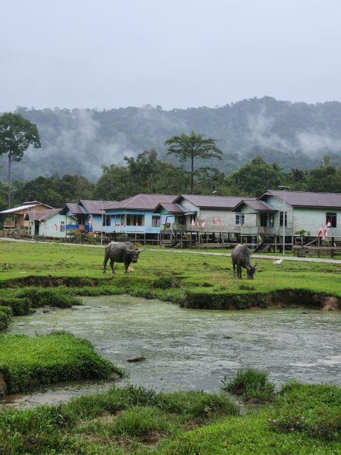 Suasana Desa Lung Semamu