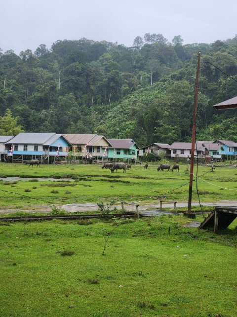Suasana Desa Lung Semamu