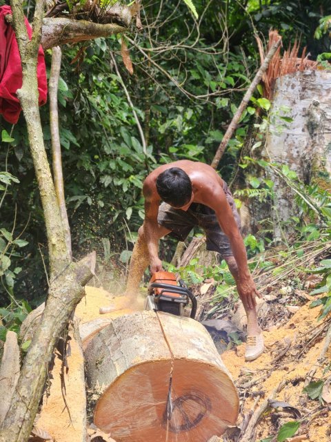 Gotong Royong Mengumpulkan Kayu Bakar