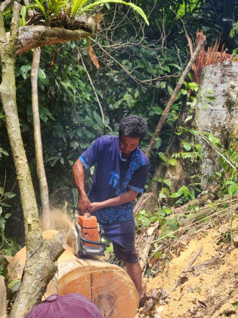 Gotong Royong Mengumpulkan Kayu Bakar
