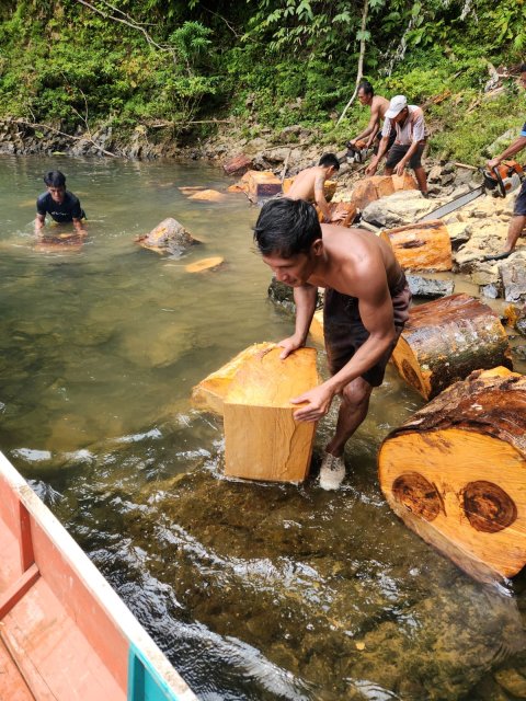 Gotong Royong Mengumpulkan Kayu Bakar