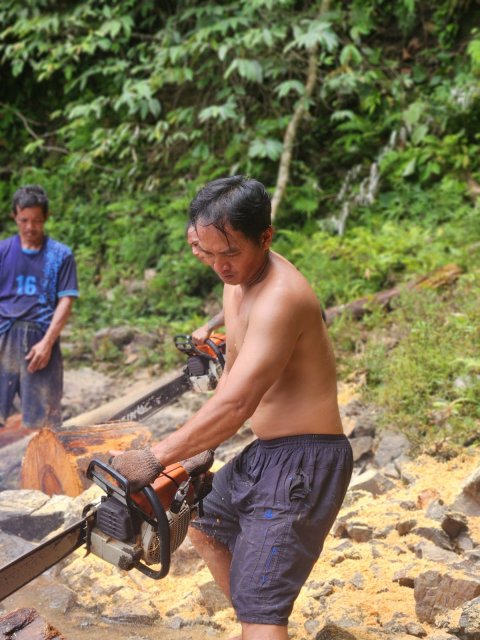 Gotong Royong Mengumpulkan Kayu Bakar