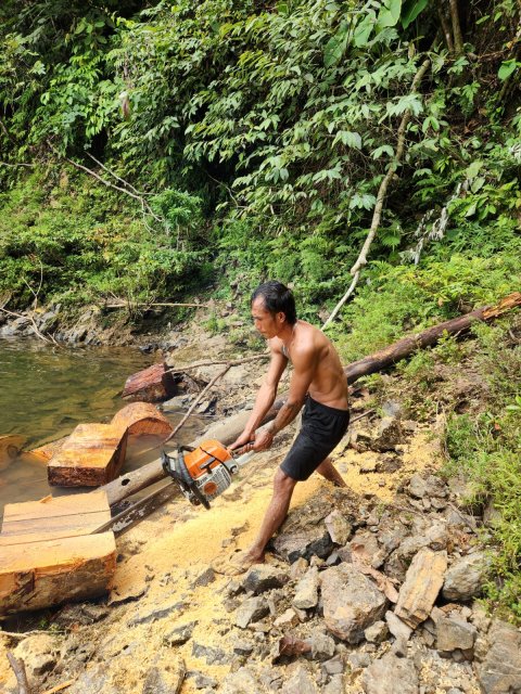 Gotong Royong Mengumpulkan Kayu Bakar