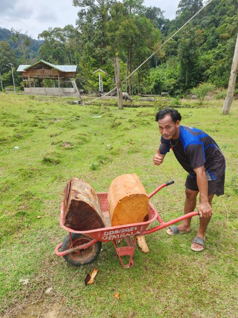 Gotong Royong Mengumpulkan Kayu Bakar