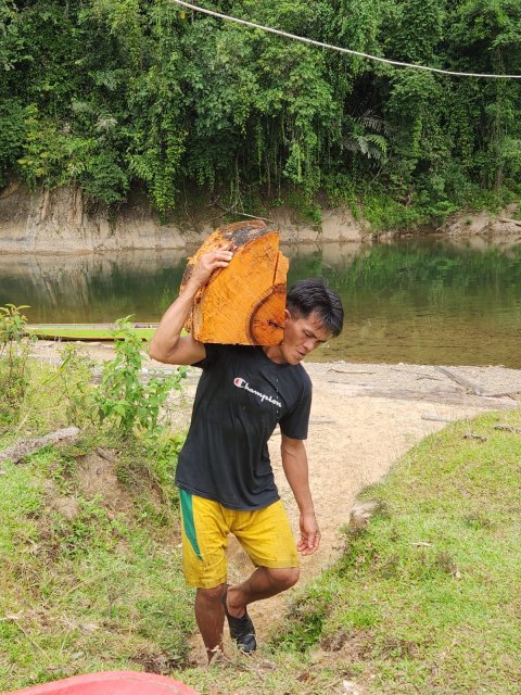 Gotong Royong Mengumpulkan Kayu Bakar